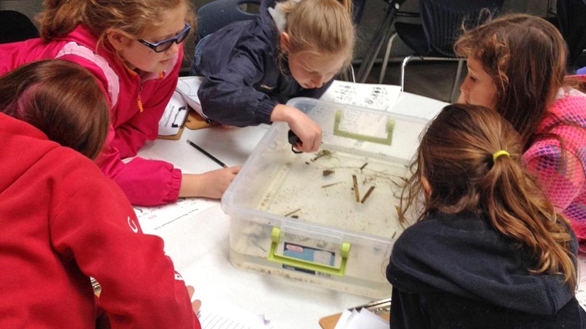 Howard Elementary fifth-graders examine the pond water for living creatures. Pictured from left: Naudiya Ergott, Peightin Brownson, Claudia Irvin, Keira McKinley and Jossilyn Pearce.