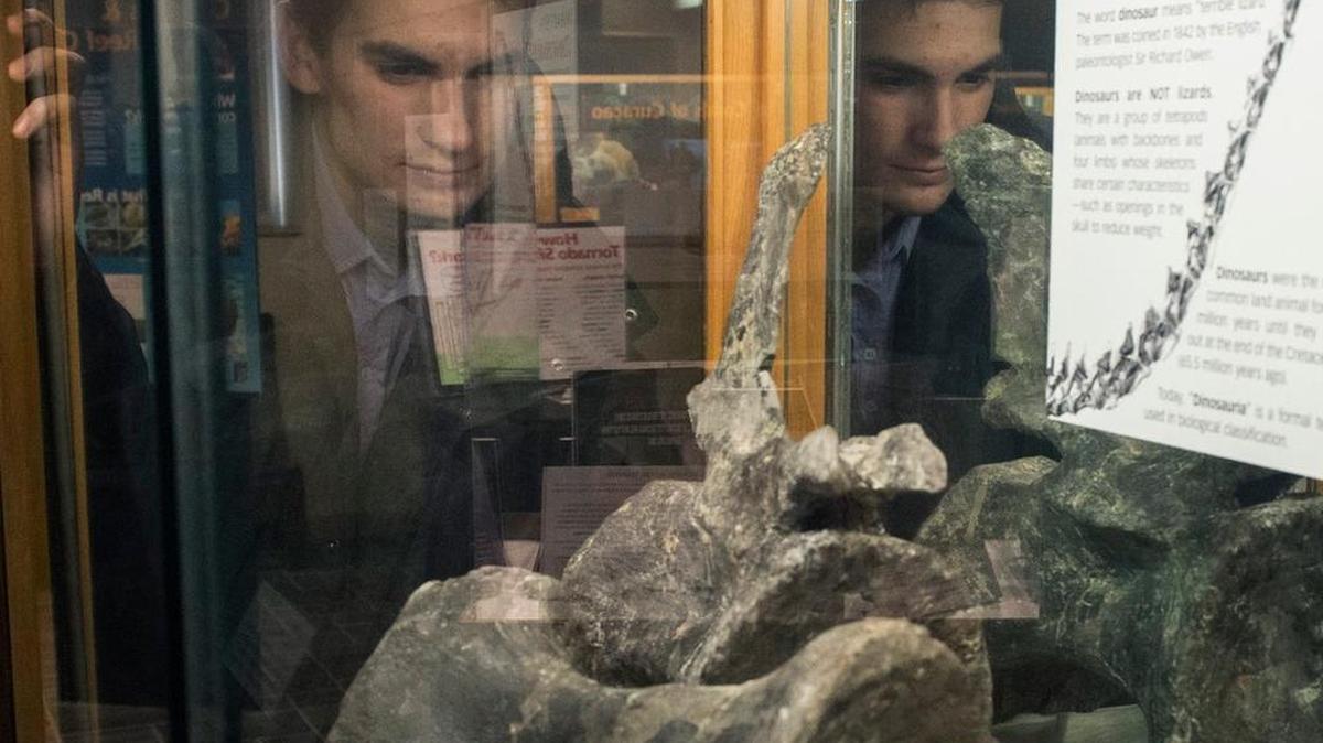 Josh Rinehart, a student at Penn State majoring in Geosciences, examined some dinosaur fossils at the Earth and Mineral Sciences Museum in Dieke Bulding prior to attending class on Feb. 10.