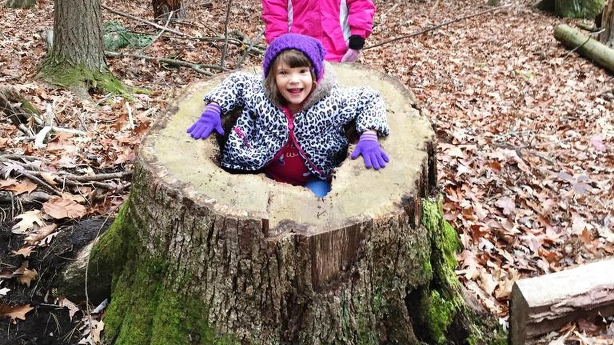 NVCS student Willow Quay takes a seat in a tree stump while Alana Rhodes looks on.