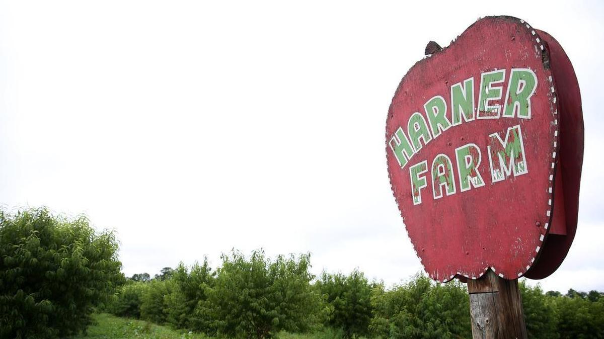 A view of Harner Farm on Aug. 7 in Ferguson Township.