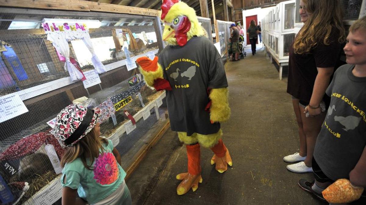 Tyler Poorman, of Jacksonville, walks through the poultry barn dressed in a chicken costume that he wore for his presentation during last summer’s Centre County Grange Encampment and Fair. Live poultry were not allowed at the fair because of the threat of avian flu. The state announced Thursday that it will lift the ban.
