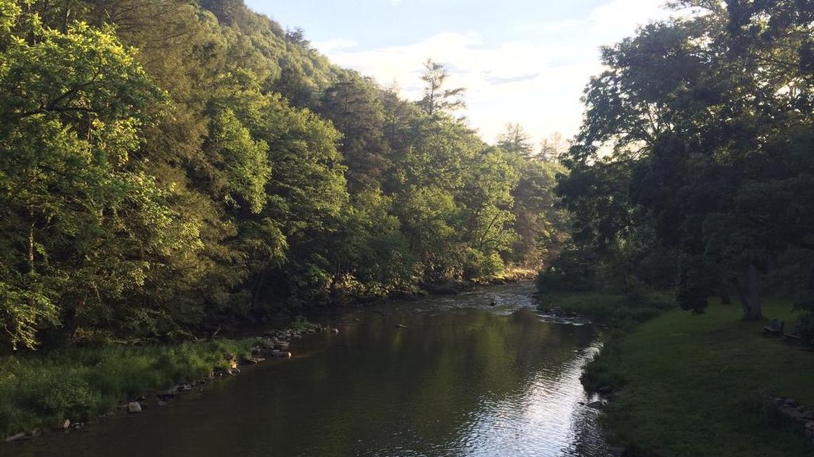 Hike Mid State Trail and fish Penns Creek with Centred Outdoors