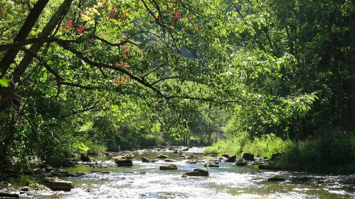 Enjoy Spring Creek up close with Centred Outdoors