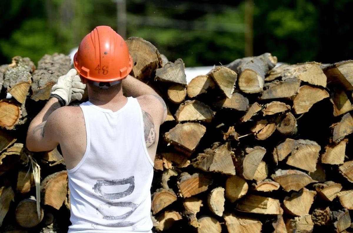 Rockview state prison inmates in the Forestry Camp stack firewood on in June 2017. 