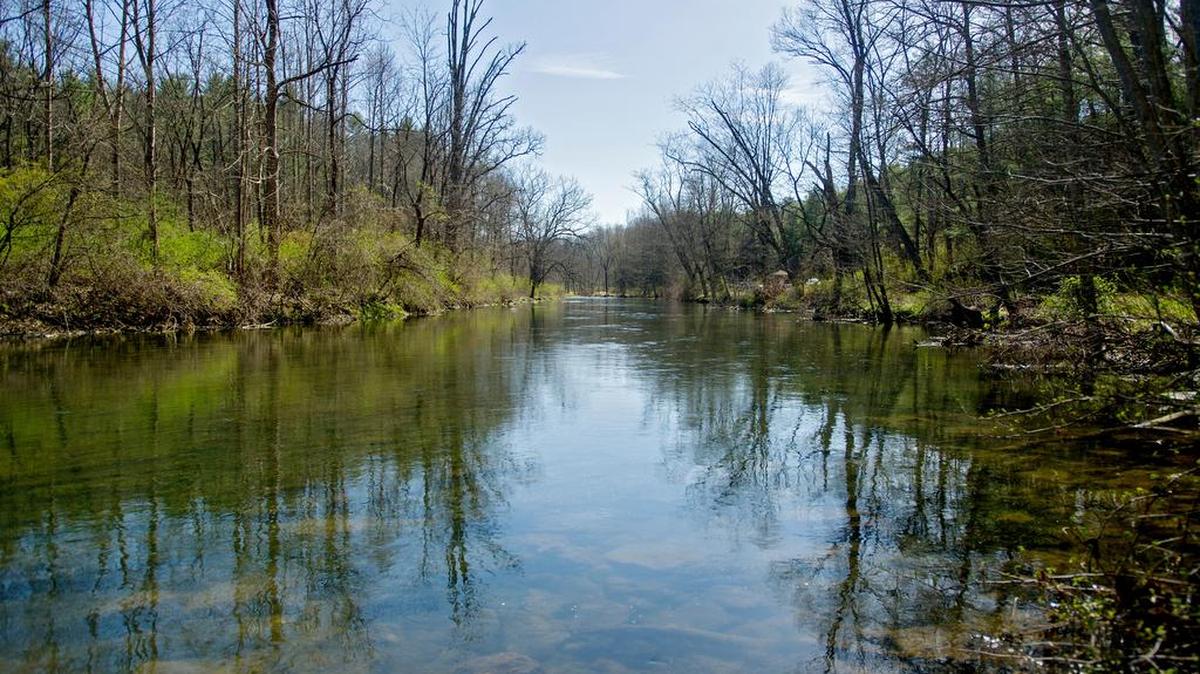Spring Creek Canyon on Wednesday, April 13, 2016.