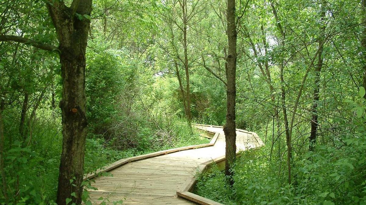 Guided outings at Millbrook Marsh Nature Center will take place July 30 and Aug. 2.
