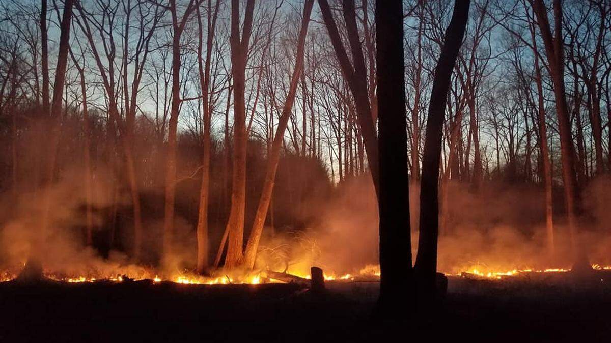 A wildfire has destroyed more than 700 acres of land.