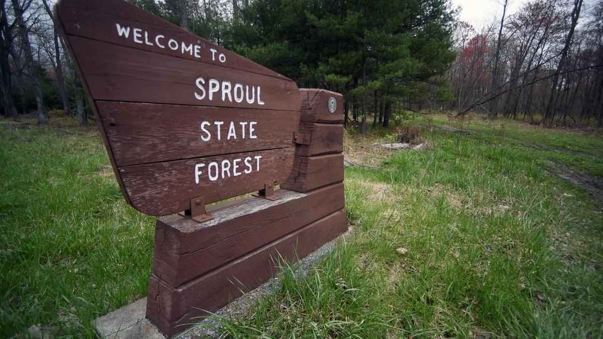 Sproul State Forest comprises more than 370,000 acres.
