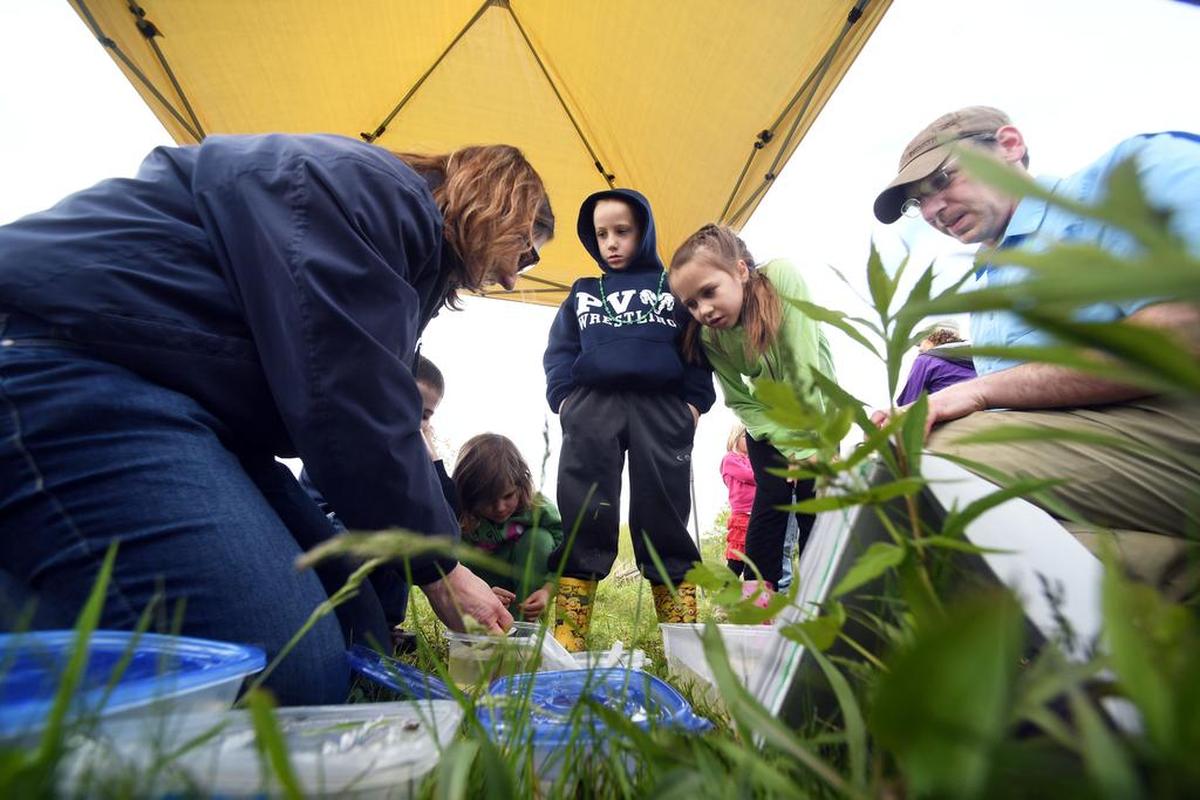 Penn State biology professor Carla Hass and herpetologist Jim Julian show children different tadpoles during FrogFest Saturday, May 13, 2017, at Muddy Paws Marsh in Spring Mills.