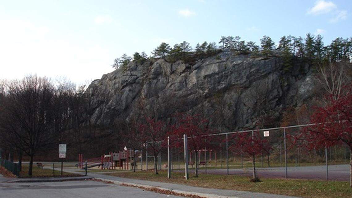 A teen was rescued after he fell down a cliff, New Hampshire officials say.