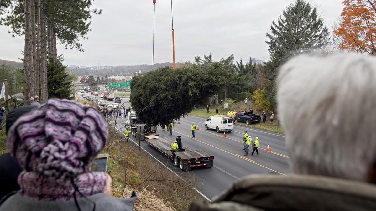 Community members watch the 75-foot Norway Spruce from College Township get loaded onto a truck to be taken to Rockefeller Center in New York City on Nov. 9.