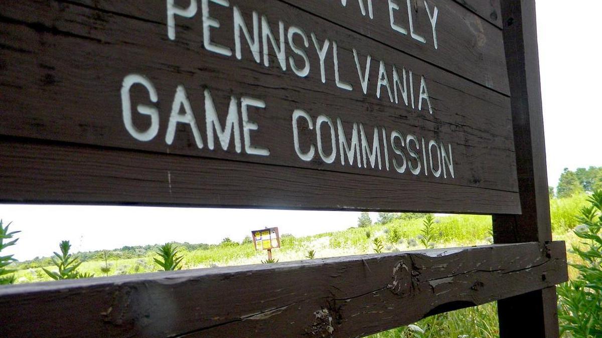 The Pennsylvania Game Commission’s executive director stepped down on Monday after the Board of Game Commissioners raised concerns unrelated to his leadership capabilities.