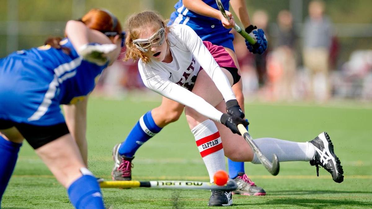 State College’s Paige Meily, shown with the Lady Little Lions in 2014, was named honorable mention All-Ivy League after her junior season at Penn.