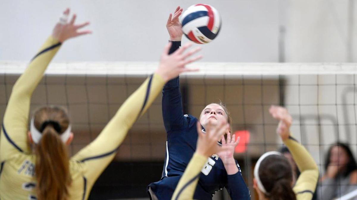 Bald Eagle Area’s Grace Hugar was named to the all-state team as an outside hitter.