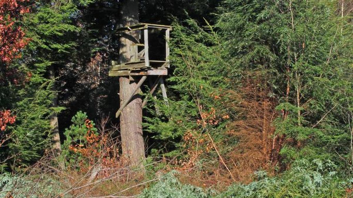 Falls from treestands are the leading cause of accidents for hunters, and treestands more than 20 feet up bring the most serious threat. Hunters should consider a lower stand for safety.