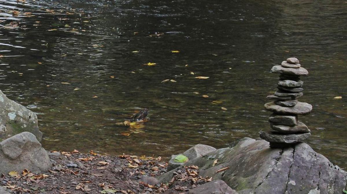 Rock piling is damaging to the ecological cycle.
