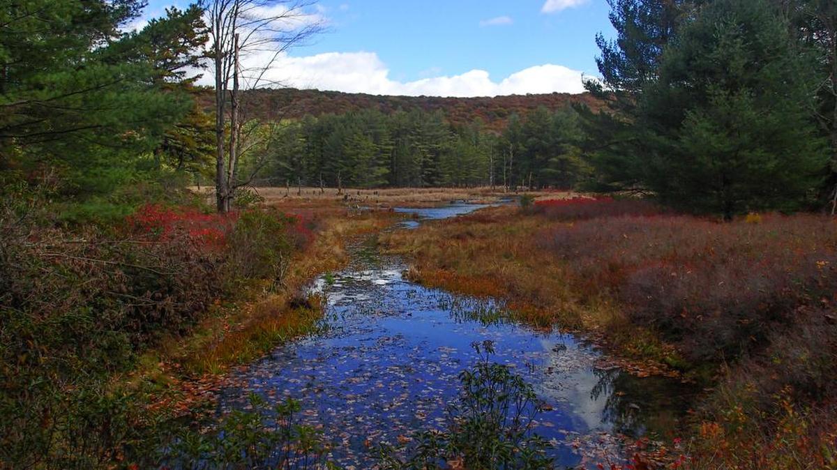 Cranberry Swamp natural area provides scenic views, especially during the fall.