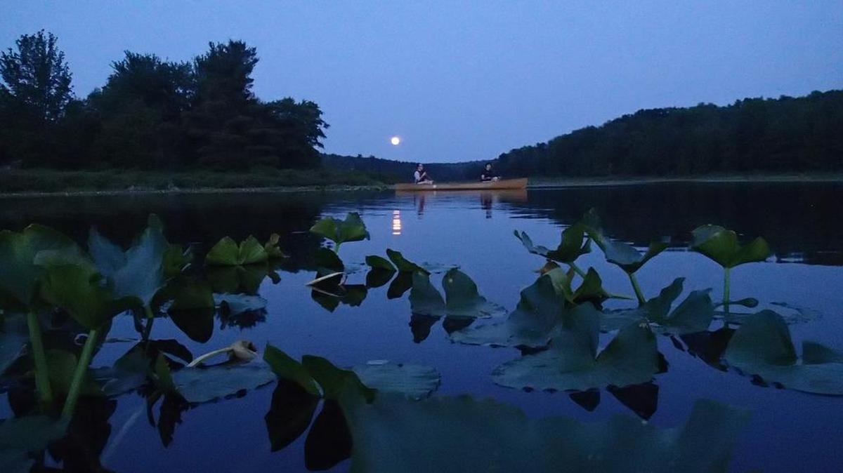 John Lynch and Canoe Club of Centre County President Joyce Furfaro paddle their canoe as the full moon rises above the Black Moshannon State Park.