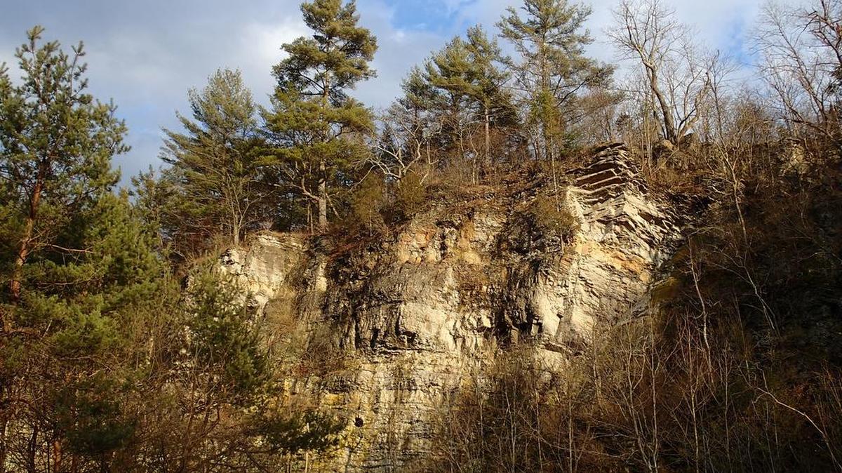 The Spring Creek Canyon cliffs lit by a January sunset in State Game Land 333.