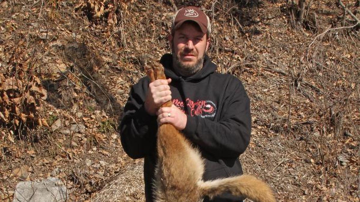 Carlisle hunter Grant Lebo with a 39-pound coyote that he entered in last year’s Mosquito Creek contest.