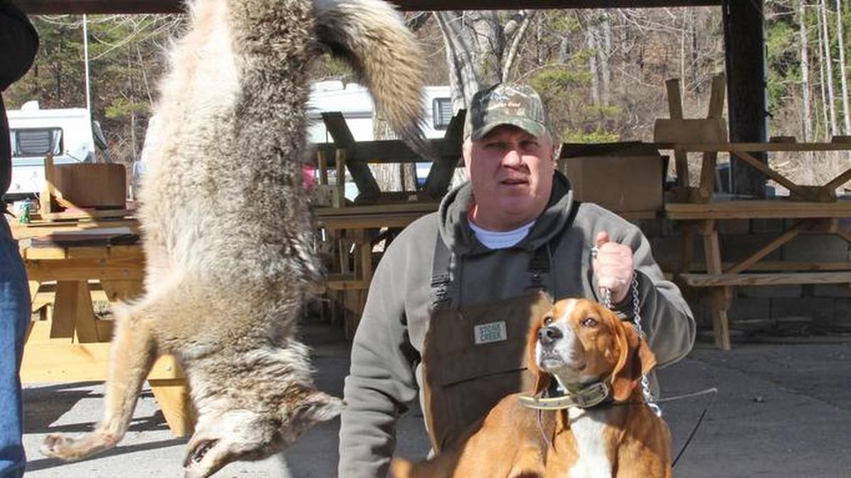 Randy Guyer, of New Enterprise, shows off a 27.5-pound coyote that he entered in last winter’s Liberty Township Sportsmen Coyote Hunt.